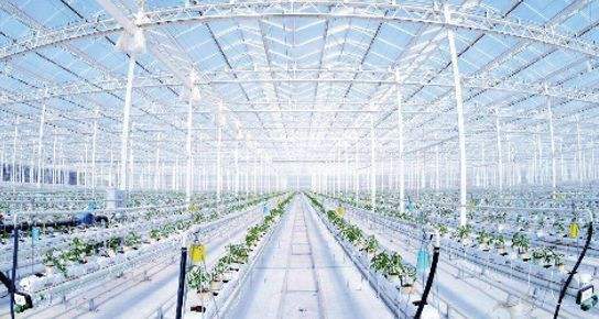 2025年03月河北某智能农业灌溉企业浪涌防护项目