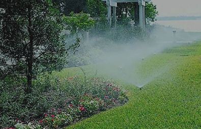 2024年09月河北某农林灌溉企业浪涌防护项目